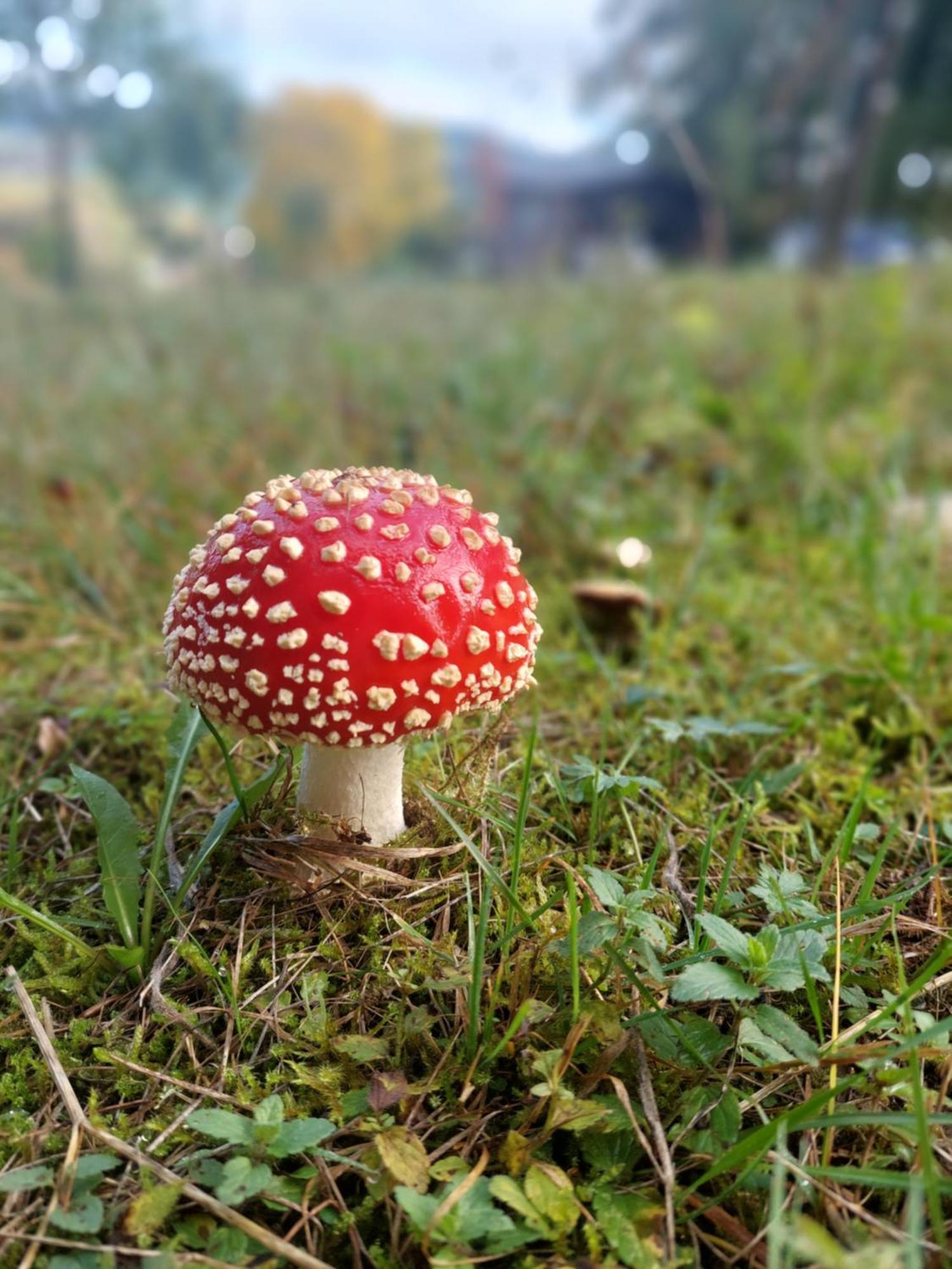 Chata Na Samote, Sumava Vrhavec Exteriör bild