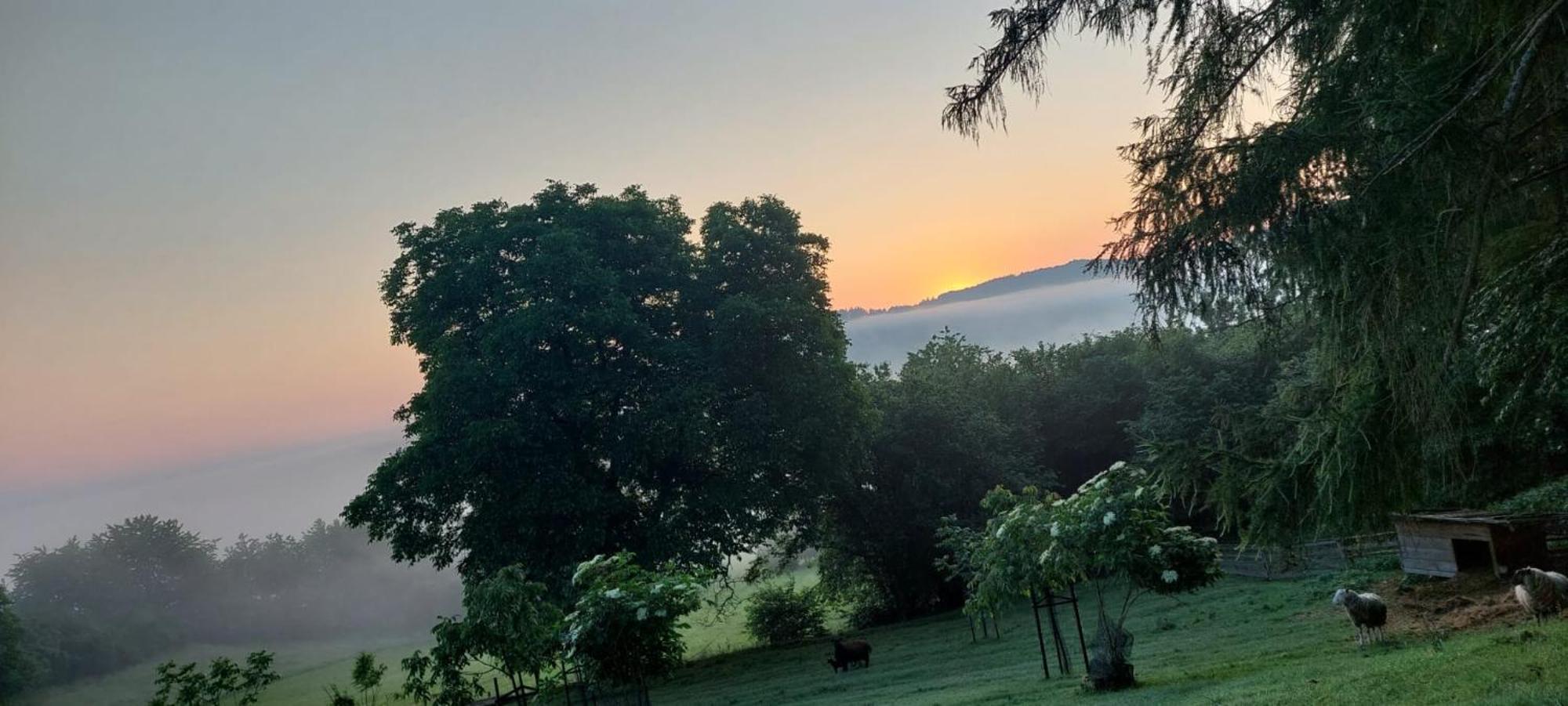 Chata Na Samote, Sumava Vrhavec Exteriör bild
