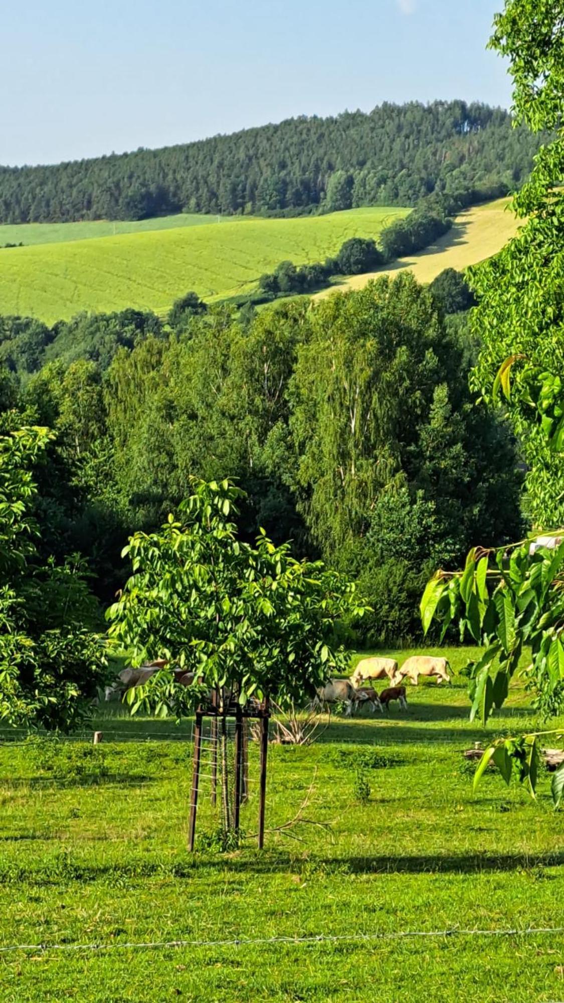 Chata Na Samote, Sumava Vrhavec Exteriör bild