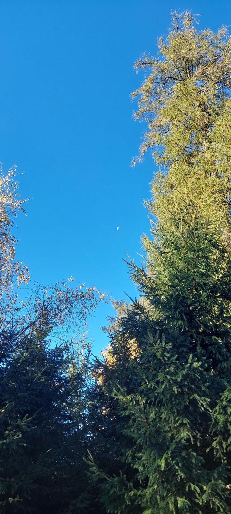 Chata Na Samote, Sumava Vrhavec Exteriör bild
