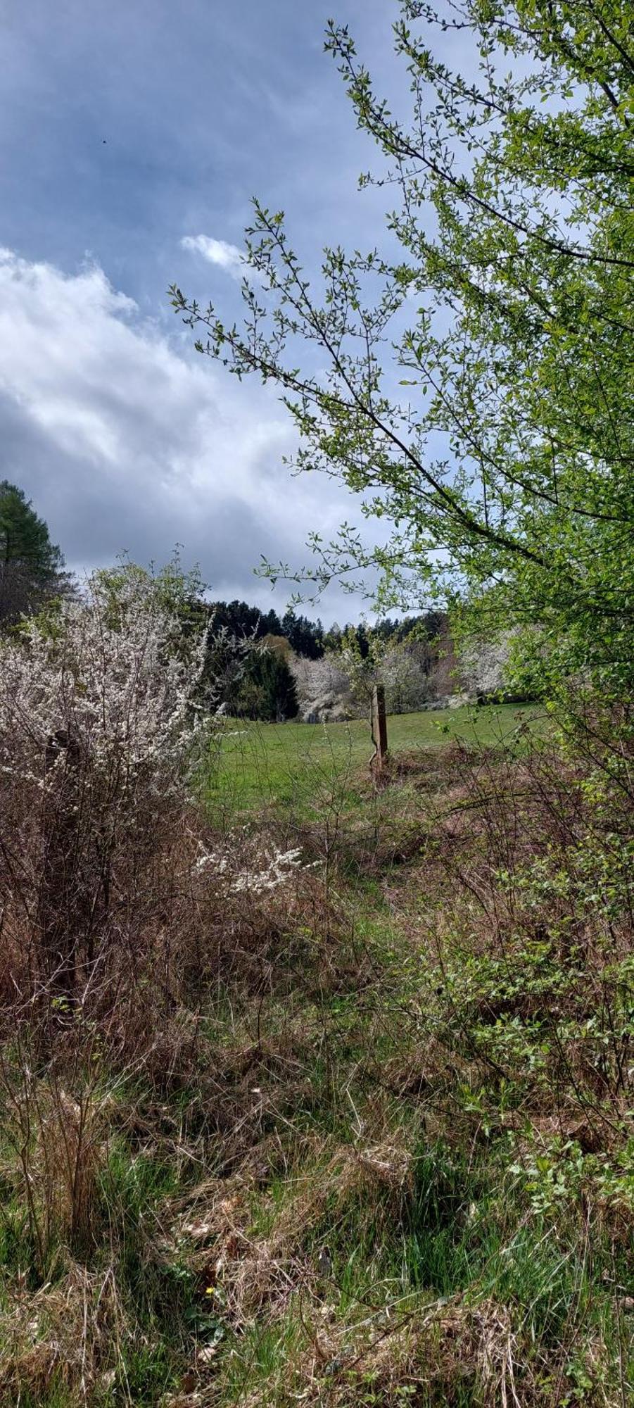 Chata Na Samote, Sumava Vrhavec Exteriör bild