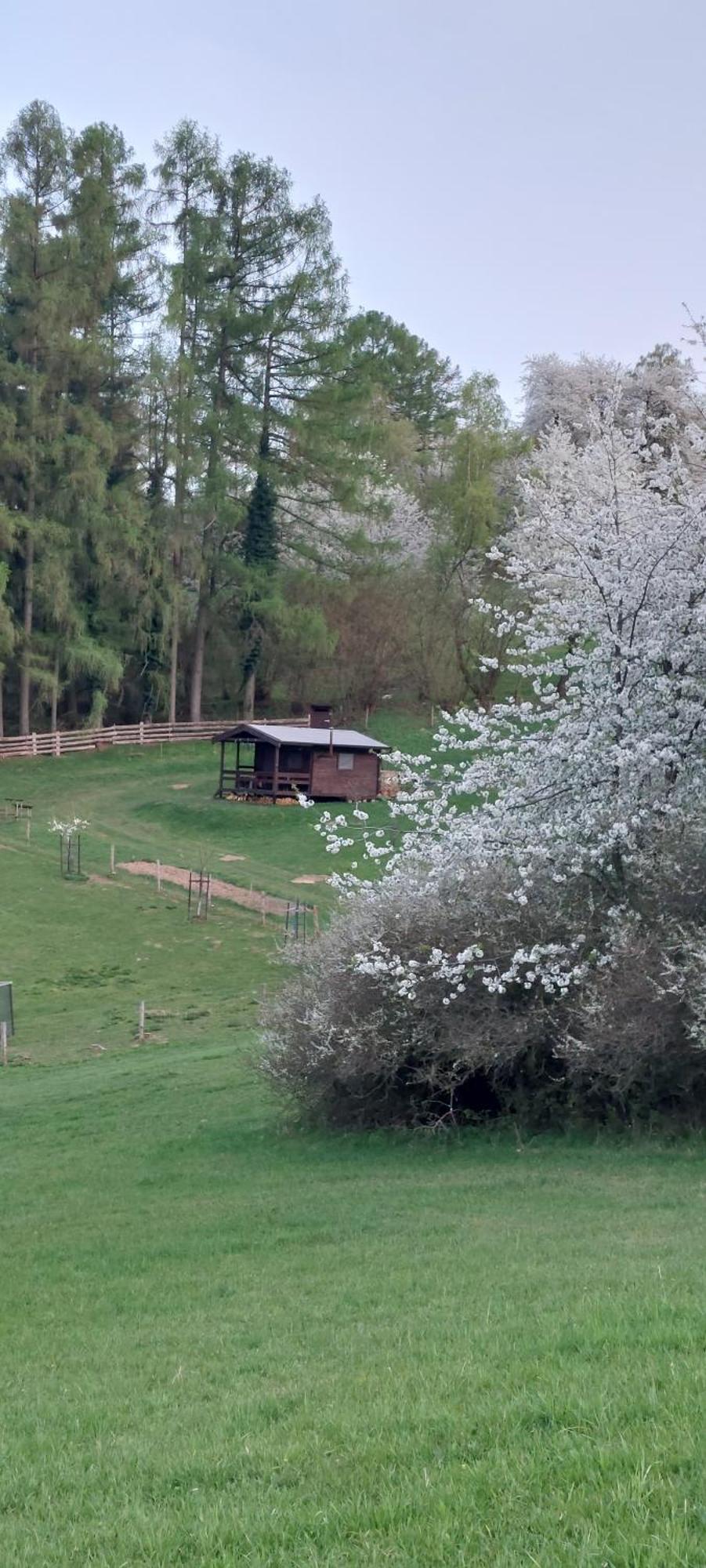 Chata Na Samote, Sumava Vrhavec Exteriör bild