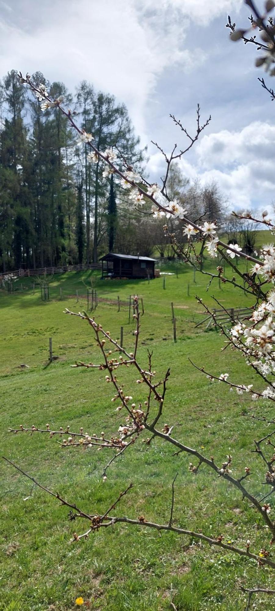Chata Na Samote, Sumava Vrhavec Exteriör bild