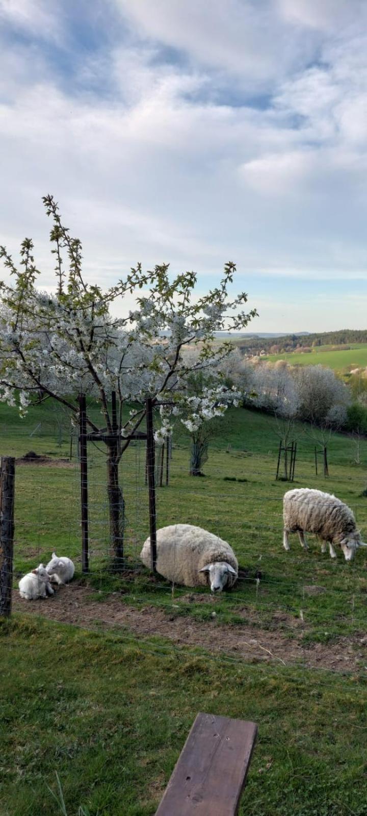 Chata Na Samote, Sumava Vrhavec Exteriör bild